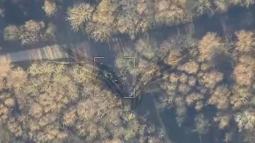  . 6  2025   ..   Zala          222 