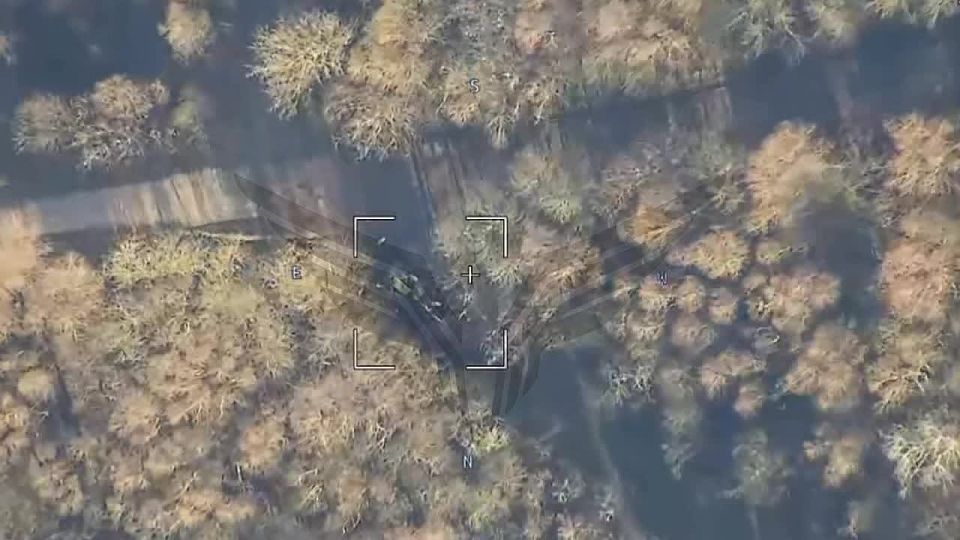 ������� �����������. 6 ������� 2025 ���� � �.�. �������� ������ Zala �� ������� ������ ��������� ��������� ���������� ���������� �������������� ������ 2�22 �������