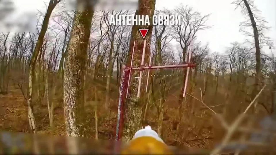 ��������� ������ "�������" ��������� ��������� ��������� � ������� �������