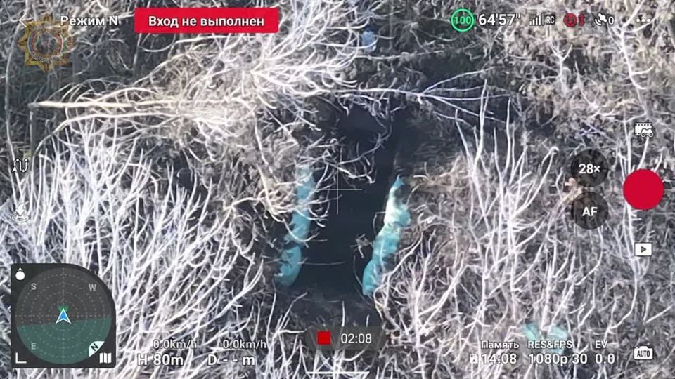 ���� ���������: ���������� �������� ������ � ����� ����� ����������