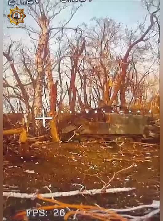 ���� ���������: ����������� ��������� ������� ������� ����, ������� � ����� ���� ����������