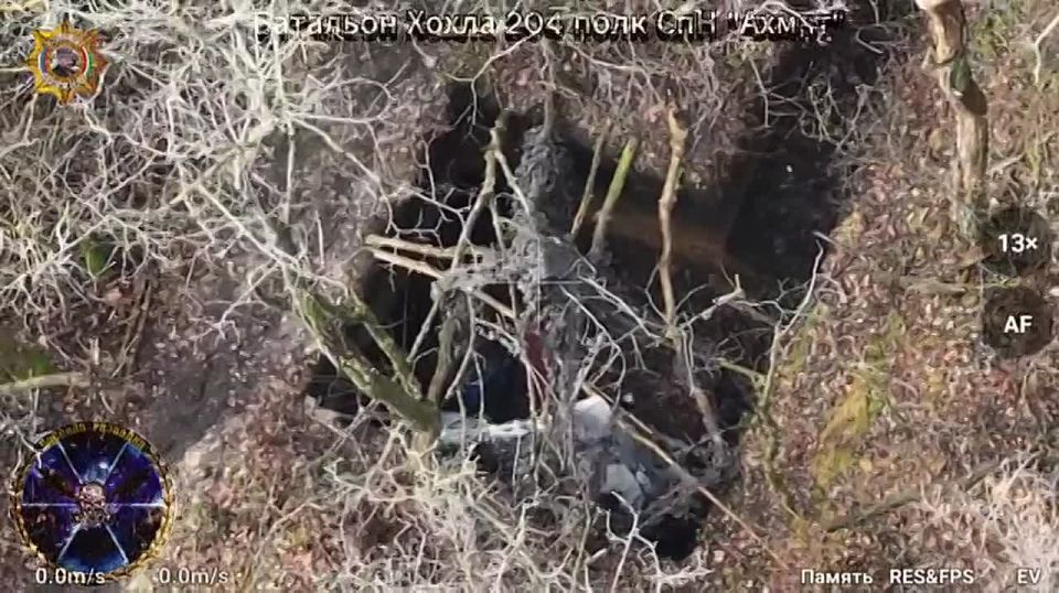 ���� ���������: ����������� ������� ������� � ��������� ����������