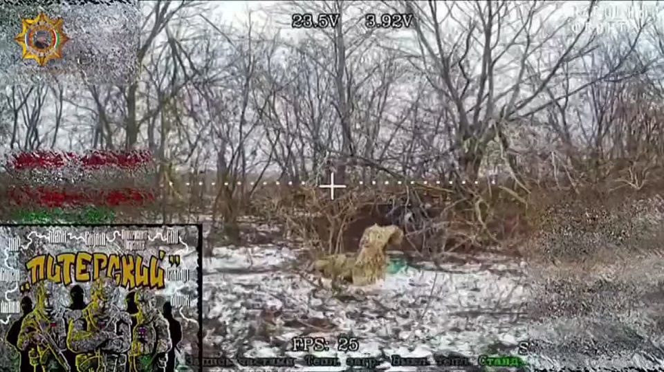 ���� ���������: ����������� ���������� ���������������� ����������