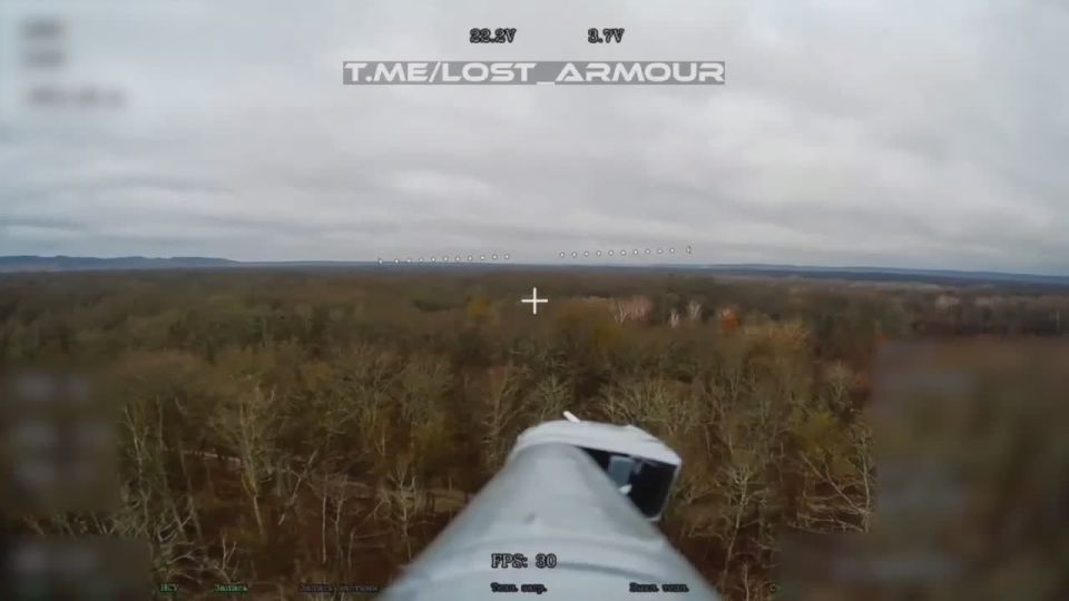 Еще одна Гвоздика сожжена, но теперь - в Сумской области