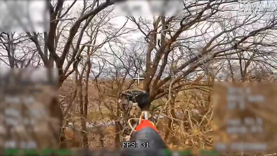 Рубикон - день за днем!. Боевая работа операторов Центра "Рубикон" за 17 декабря 2025 года • Донбасс