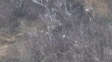 ������ ��������: ���������� ������� � ������������ ���� � ������� ������� ���� ���� ����� � ��������� ����� ������ ����� � ��� � �����