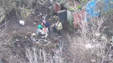 ���� ��������: � ����� ������ �� �� ����� � ���������� (������� �������)