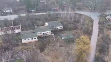 ������� ����� ����� ���� �������, ���� �������������� ���� ������ �� nice ass