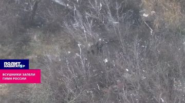 �������� ������ ���� ������