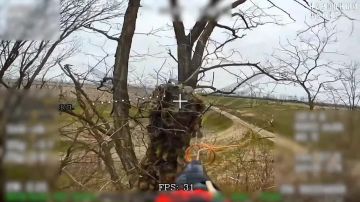 ������� - ���� �� ����!. ������ ������ ���������� ������ "�������" �� 22 ������� 2025 ���� � �������