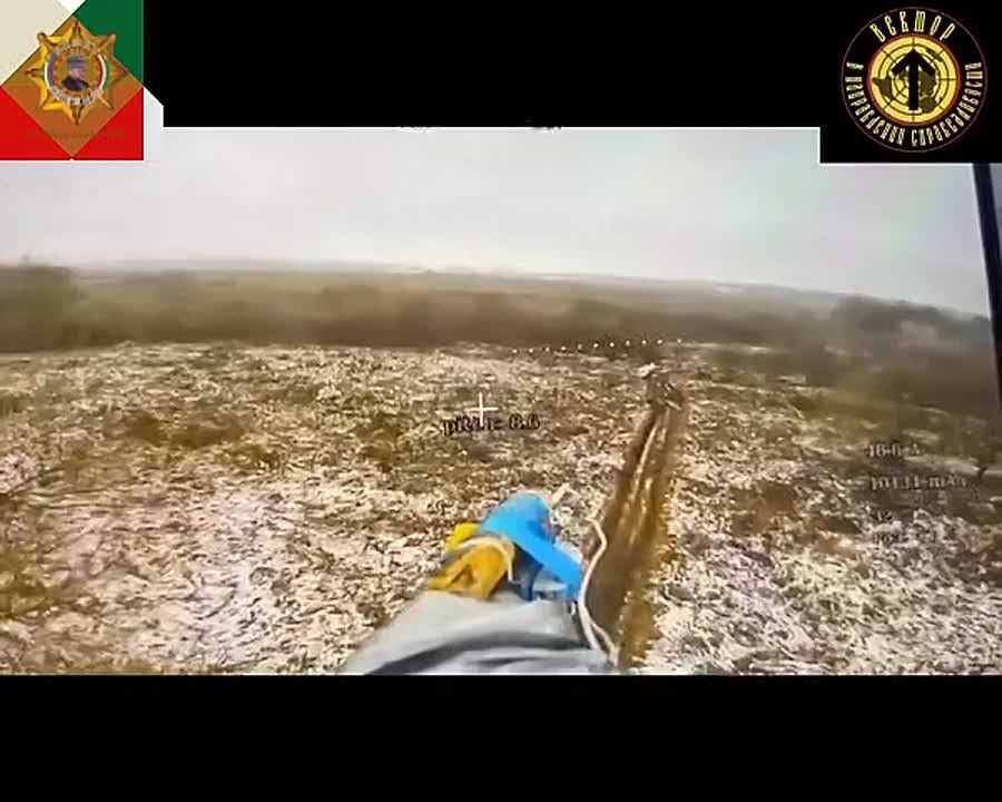 ���� ���������: ����������� ��������� ������������� ������� "�����" � "������"