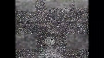 ������� �����������. �������� ��������� 0:06 - �����