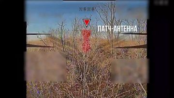 Рубикон - день за днем!. Боевая работа операторов Центра "Рубикон" за 29 декабря 2025 года • Донбасс