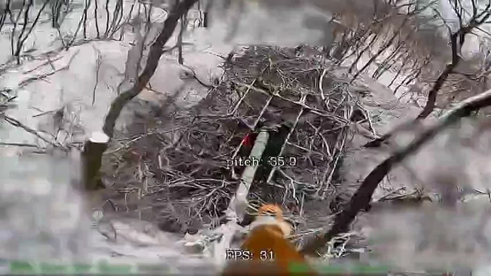 ������� - ���� �� ����!. ������ ������ ���������� ������ "�������" �� 31 ������� 2025 ���� � �������