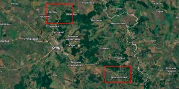 ������ �������: ������� �����������: ����������� � ������ � ���������