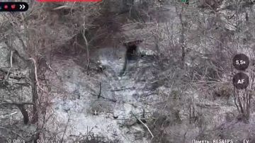 ������� - ���� �� ����!. ������ ������ ���������� ������ "�������" �� 2 ������ 2026 ���� � �������