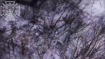 ����� ������ ����������� �������� ������ �������� ����������� ������� �������