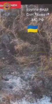 ���� ���������: ���������� �� ����������: ����������� ����� ���� ����������