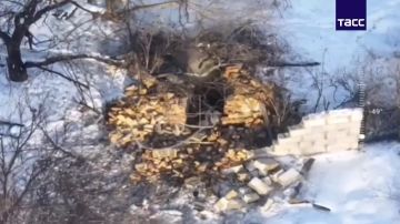 ����� ������������ ����������� � ������� �������