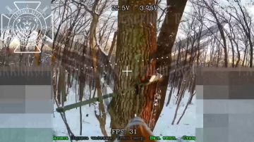 ��������� �������: �������� "�������". ������� ������ �� ����� ����������� ������������� ���� �� �� ���������� �������� ����� � ���� �� ���������� � ������� �������