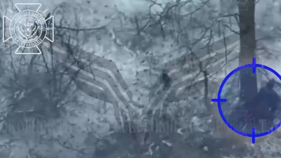 Операторы отряда «Рубикон» косят пехоту противника в лесополосах Сумской области