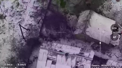 ���� ���������: ����������� ������ ���������� ���� ����������