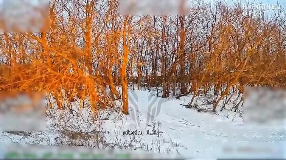 ������� �����������. �������� ���������