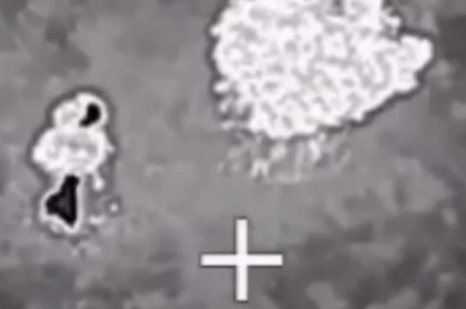 ���������� �� ����: ������ � ��������� ��� �������� �� ������ ��� ������