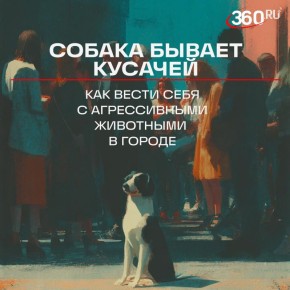 Покусала собака? Сосед завел бультерьера? Рассказываем, как правильно реагировать на агрессивных животных