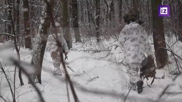 ������� ��� � ������� ������� ������� �������� ���������� ������, � ��� ����� ���� ������� �������, ������� ��������� ����������� �� ��. ������������� "��������" ������� ����������� ���������� ����������� ������ ������...