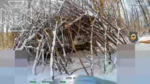 ��������� �������: � ���� ������� ������� �������� ������ ���� ���