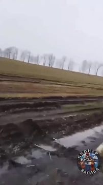 ����� ������ ������ ����� ���������, �������� � �����!