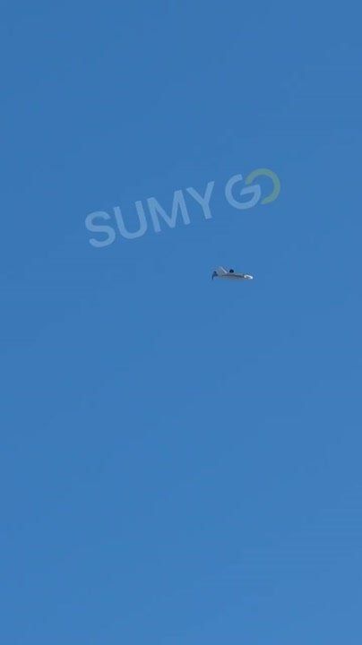 "Гербера" сбрасывает FPV-дроны над Сумской областью Дроны-матки встречаются все чаще