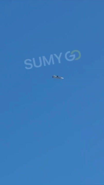 Взлёт FPV-дрона с «Герберы» в варианте дрона-носителя в Сумской области