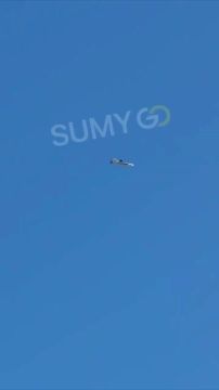 Взлёт FPV-дрона с «Герберы» в варианте дрона-носителя в Сумской области