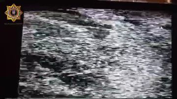 ���� ���������: ���������� ������ ���� ���, ��� ��������� �� ����: ������������ ����� �� ���������� �������