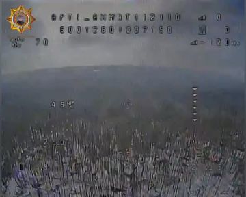 ���� ���������: ����������� ���������, ������ ���������� � ����� ����� ����, ����� ���� � �������, ������ ���������� �������� ���� "����-���"