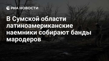 РИА Новости: иностранные наемники из Латинской Америки создали банды и начали терроризировать мирное население в районе Путивля Сумской области