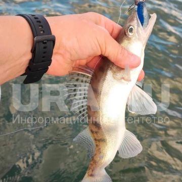 ������ ����� ����� ��������� ��� ����������: ����� ����������� ��� ������� ������������ � ������� �������� ��-�� ����������� � ���������������