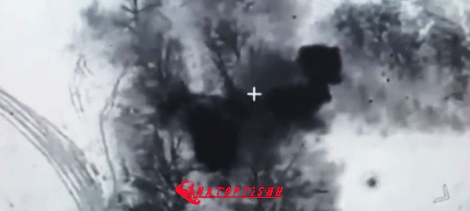 Оператор ударного БпЛА группировки "Север" нанёс точный удар по пункту управления НРТК противника в лесопосадке в окрестностях н.п. Сопычь Сумской области