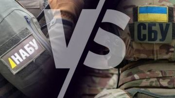 Жабокадюкинг-2: Гестапо Зеленского опять прессует НАБУ