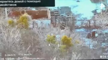 ���������� �� �������� ����� ������������ ����������� ������ ������ � ������� �������