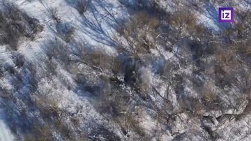 Боевики ВСУ на сумском направлении часто оказываются неподготовленными к наступлению ВС РФ, поэтому сдаются в плен