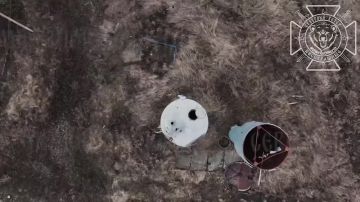 �������� � ���: ��� �������� ������� � ������ �� ������ � ��������� �������� 14 ��