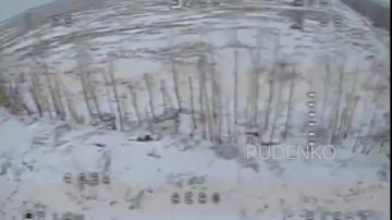 ������ �������: ����� ������ ������ ���������� ����� ����������� ������ ����������� ��������� 14 ���������� ������� ����������� ����� ������ �� ������� �����������