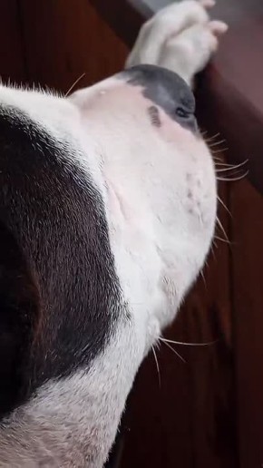 Хроника ударов по территории Украины 30 марта - 31 марта 2026 года