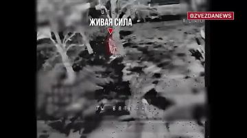 ������ ����� �� "��������" � ���� ��������� ������ �� ����� � ���� ���