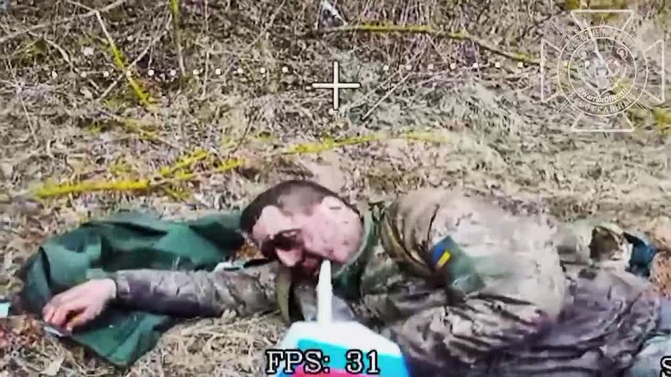 ������ ����� ������ ���������� FPV � ������� �������