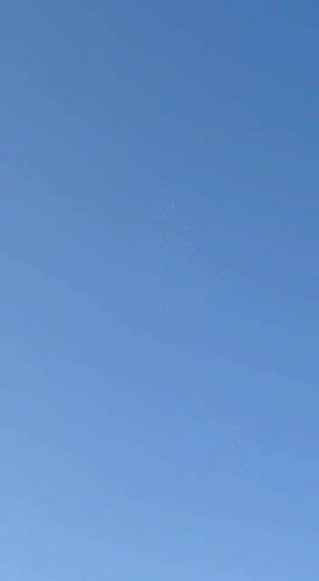 ������ ������ � ���� ������� �� ������� � ������������