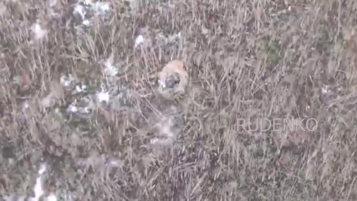 ������ �������: ������������� ����������� ������ ��� ������� ������� ��� � ������� �������